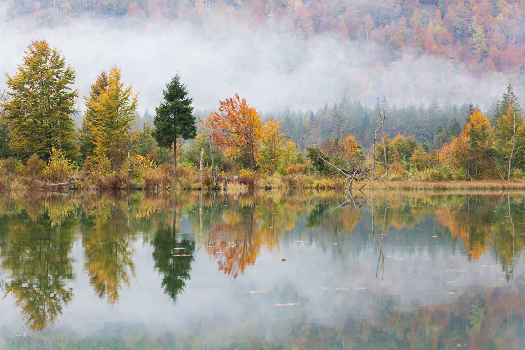 Herbststimmung am Almsee