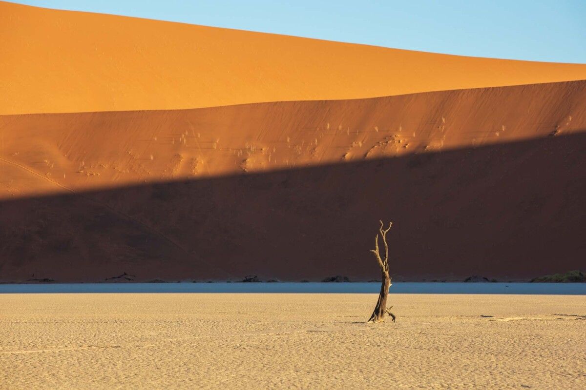 Wüste Deadvlei