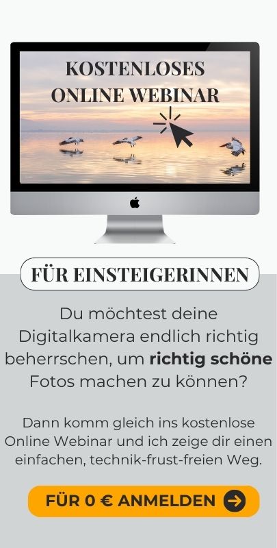 Computer mit Schrift Online Webinar für fotografie Einsteigerinnen